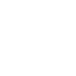PDF